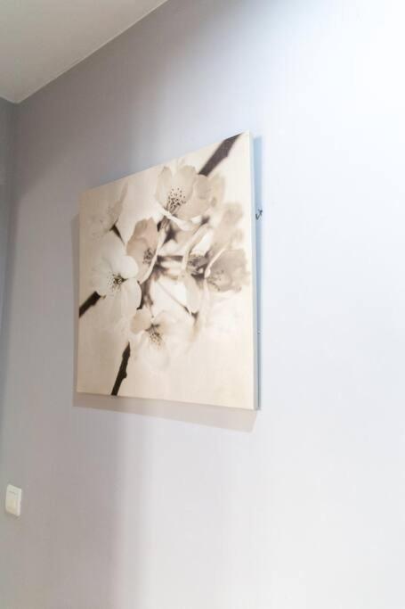 Pasquin Appartement Cádiz Buitenkant foto